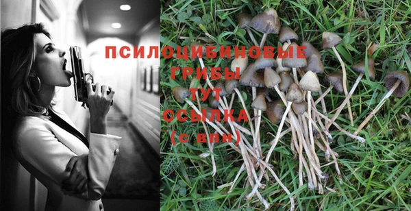 меф Алзамай