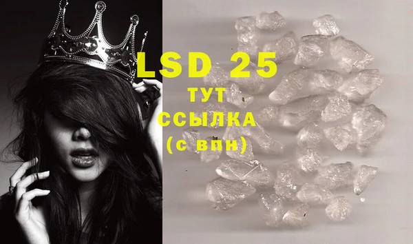 PSILOCYBIN Алексин
